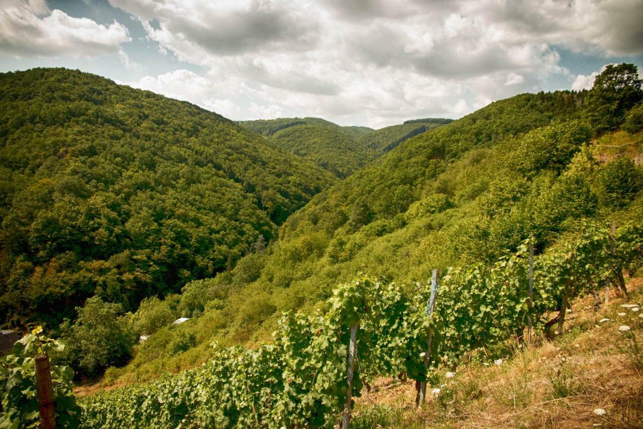Ferienwohnungen Lithos Oberwesel Exteriör bild