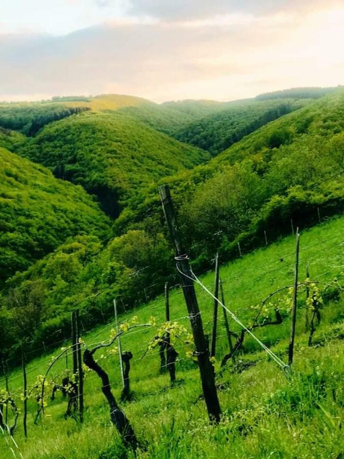 Ferienwohnungen Lithos Oberwesel Exteriör bild